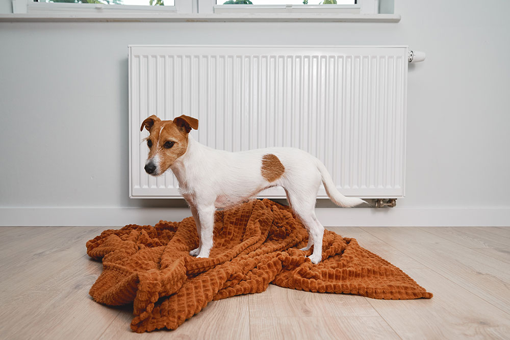 Signs Your Home Is Wasting Heating Oil